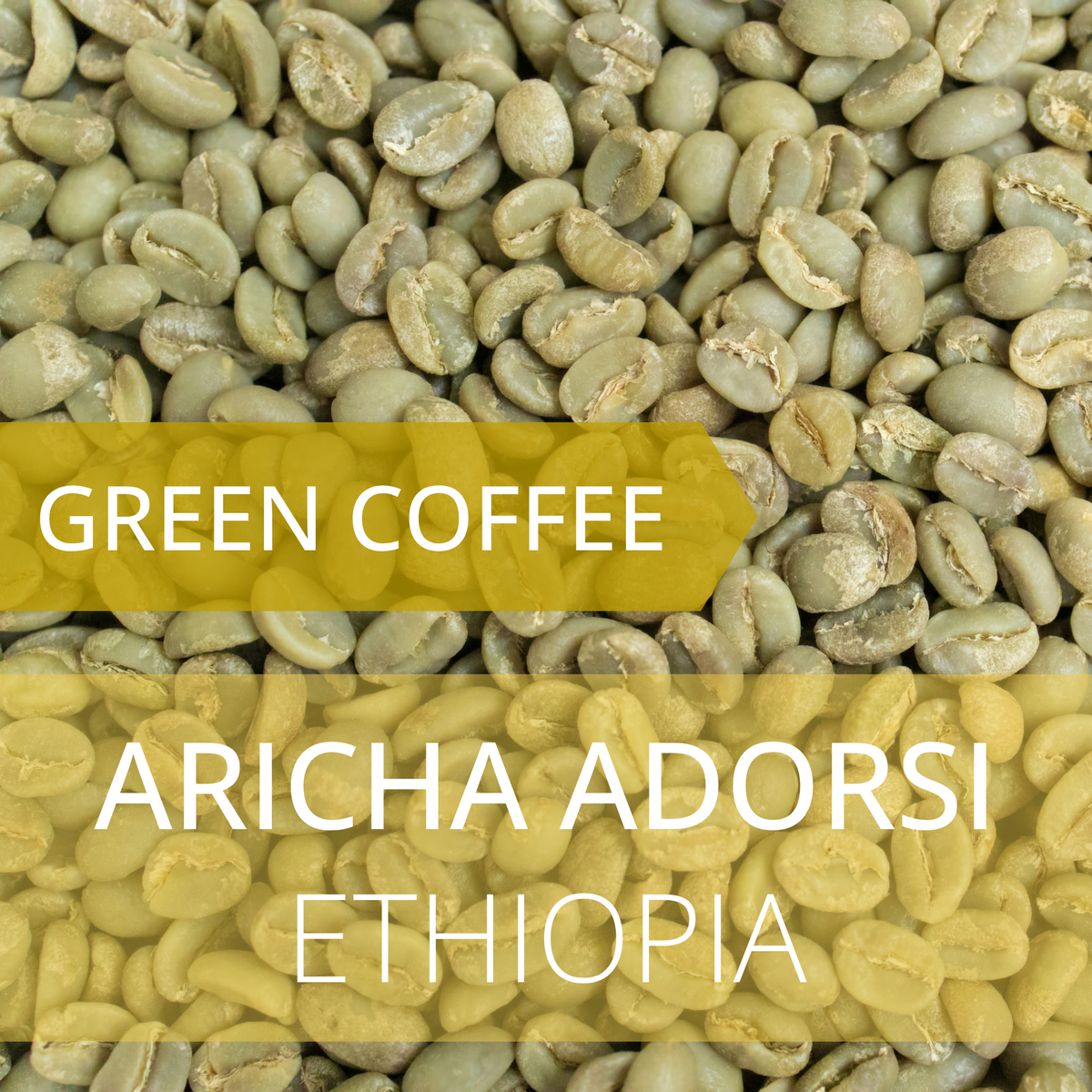 Aricha Adorsi - Ethiopia