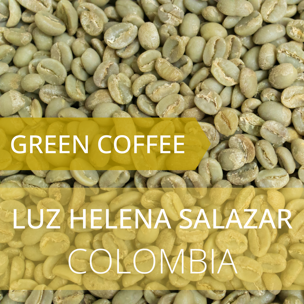 Luz Helena Salazar - Colombia