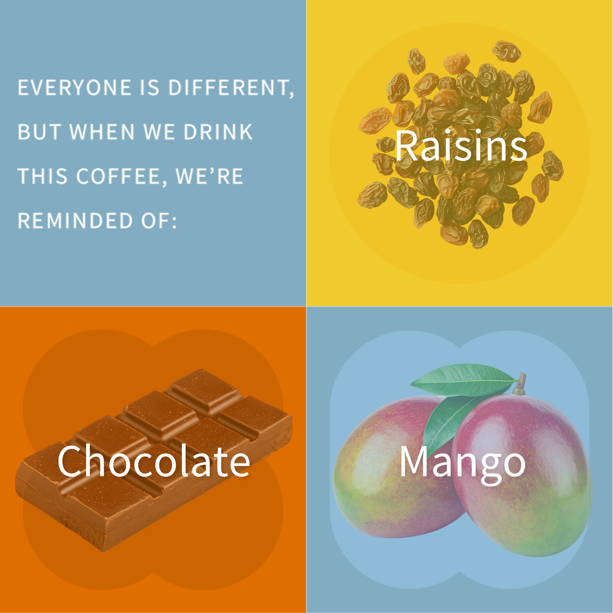 Finca Matilde 2025 - Costa Rica