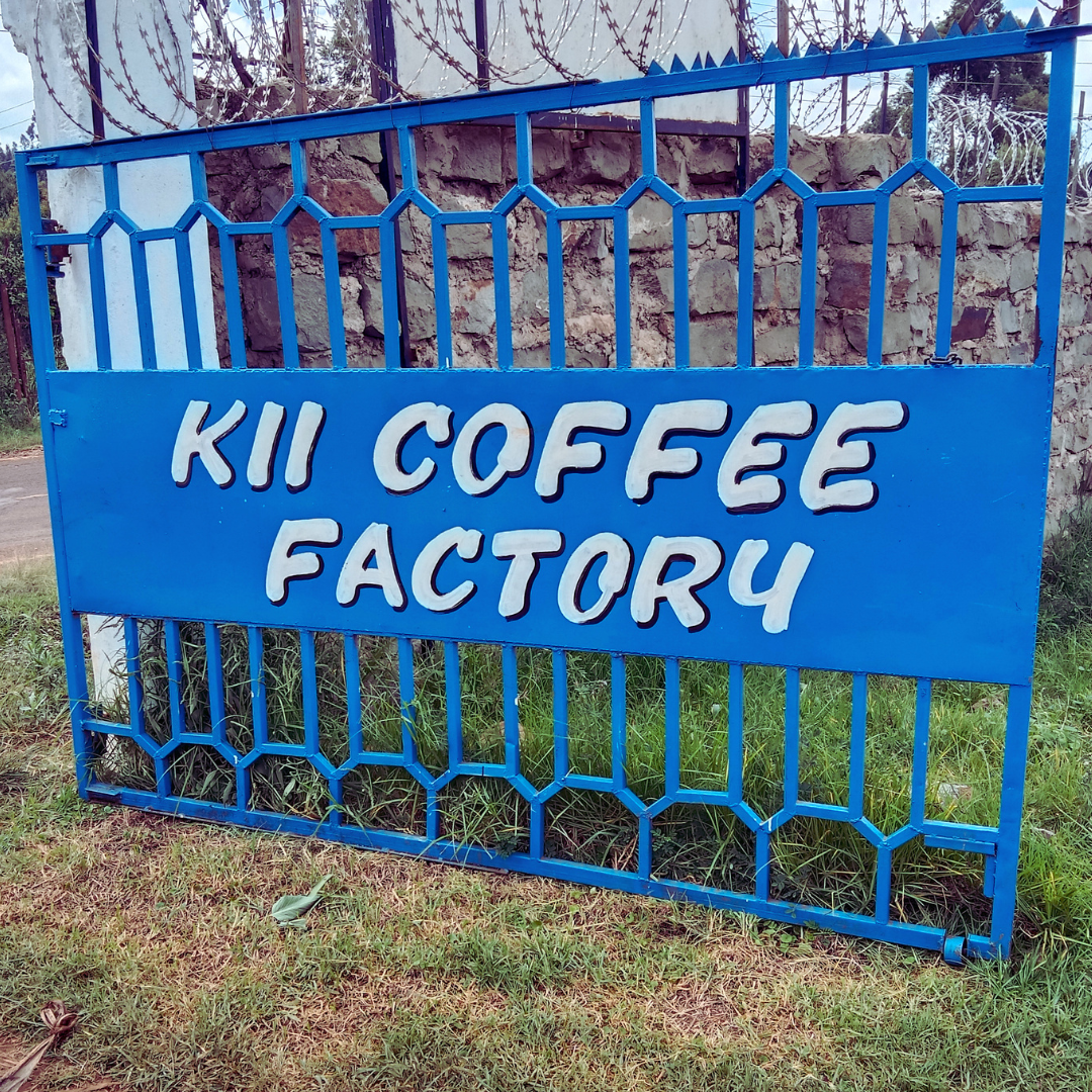 Kii AA - Kenya