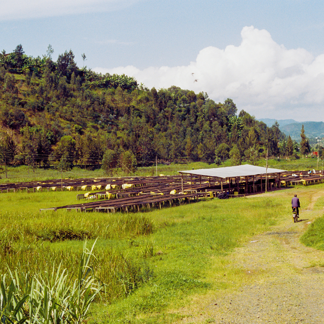 Kirambo - Rwanda