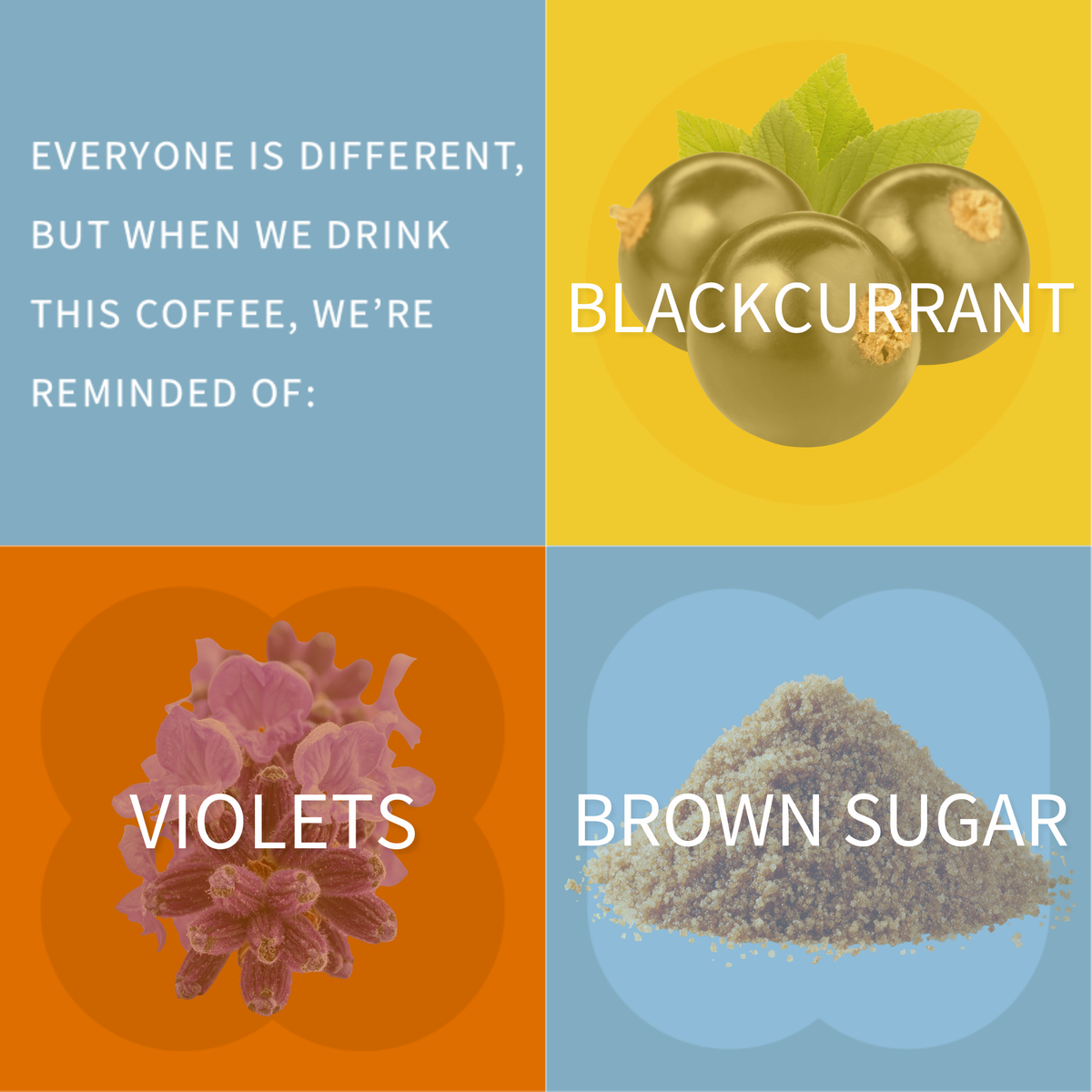 Los Robles - Costa Rica