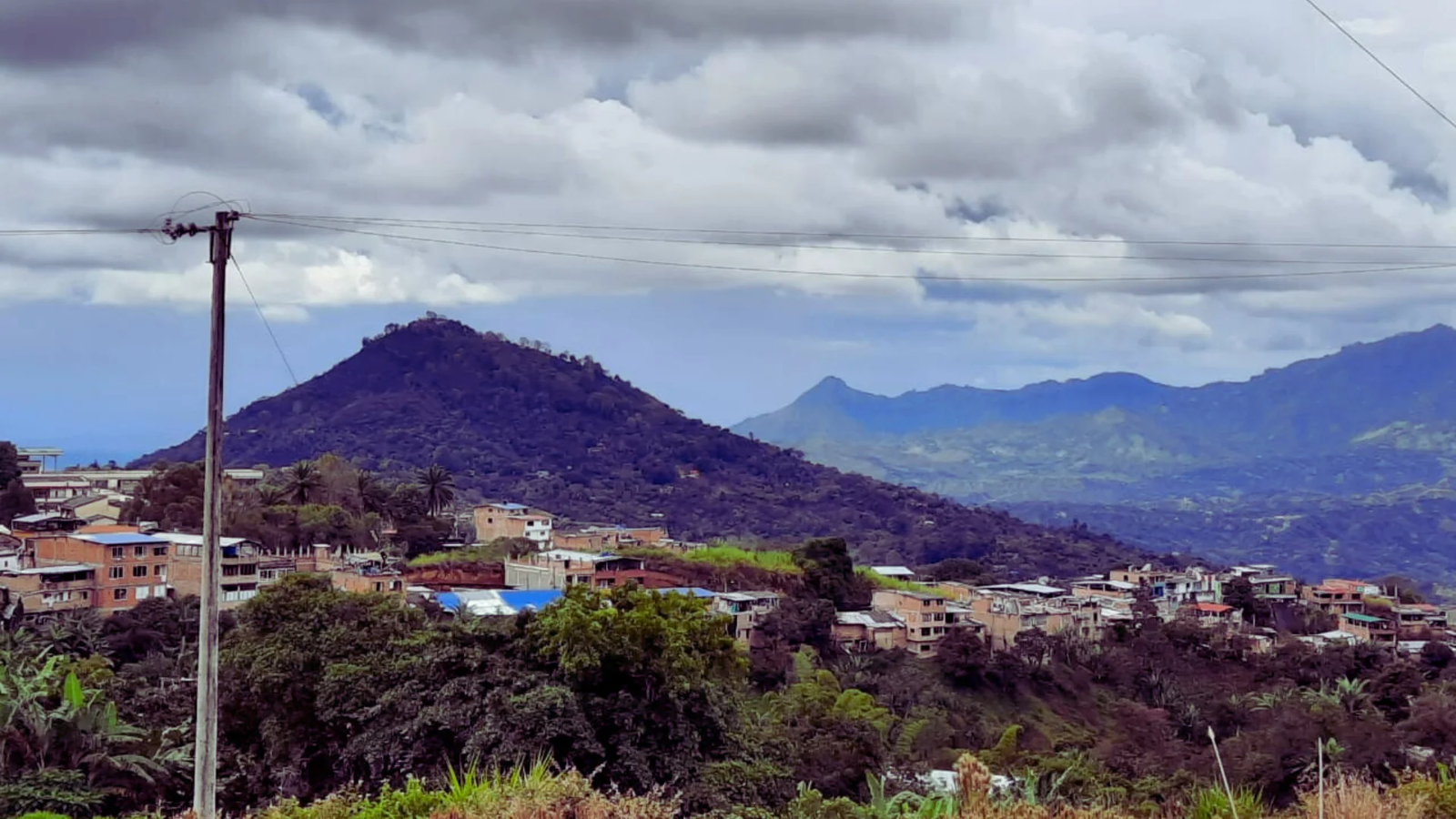 NEW BEANS! - APONTE, COLOMBIA