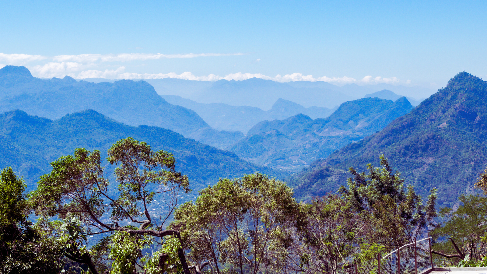 Sticky Toffee Pudding anyone?