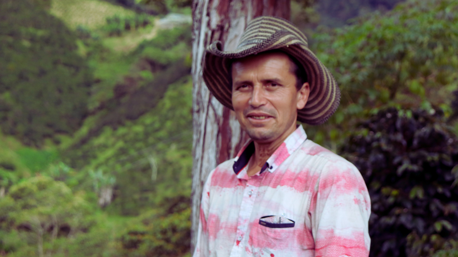 We are really spoiling you.....