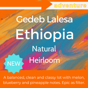 Gedeb Lalesa - Ethiopia