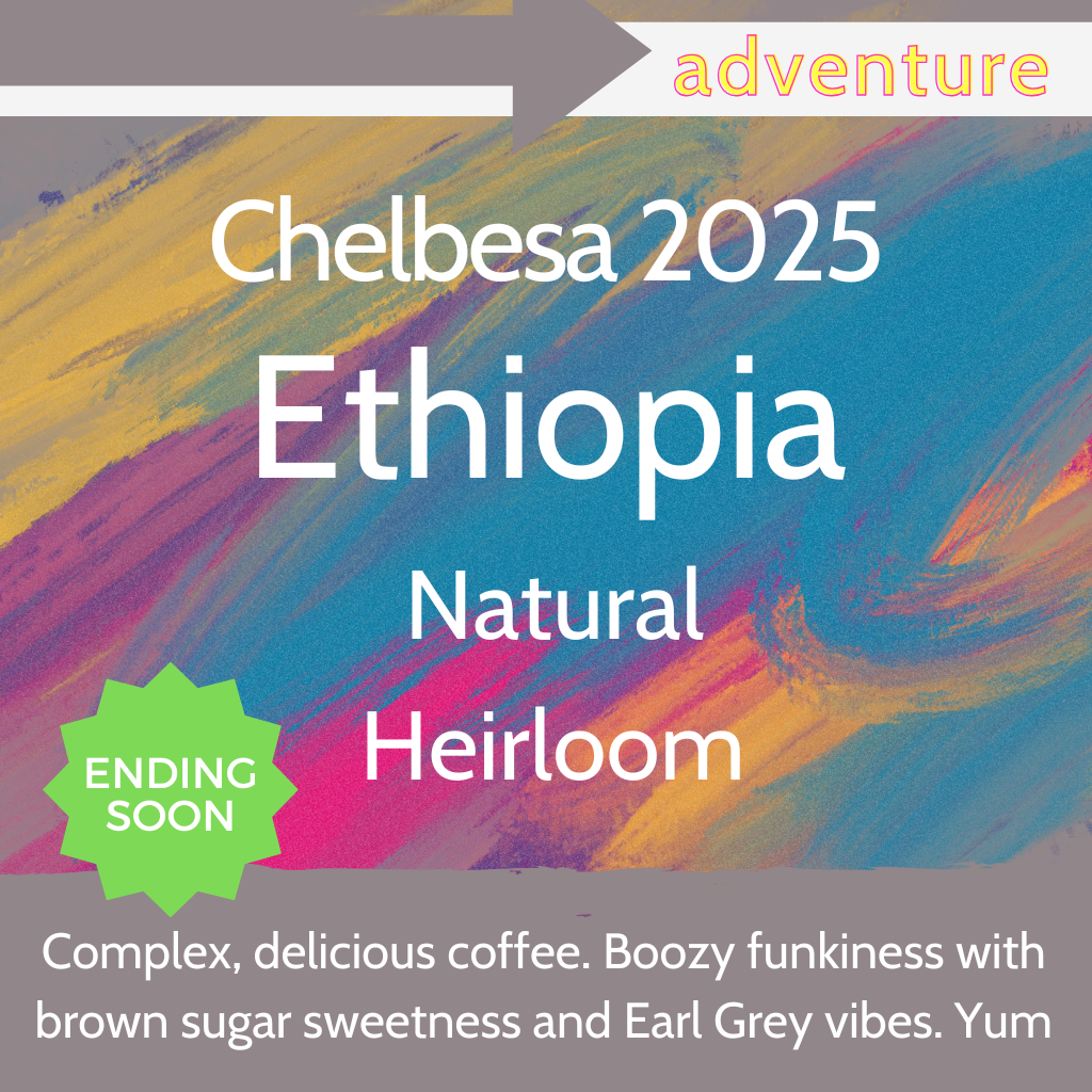 Chelbesa 2025 - Ethiopia