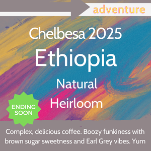 Chelbesa 2025 - Ethiopia