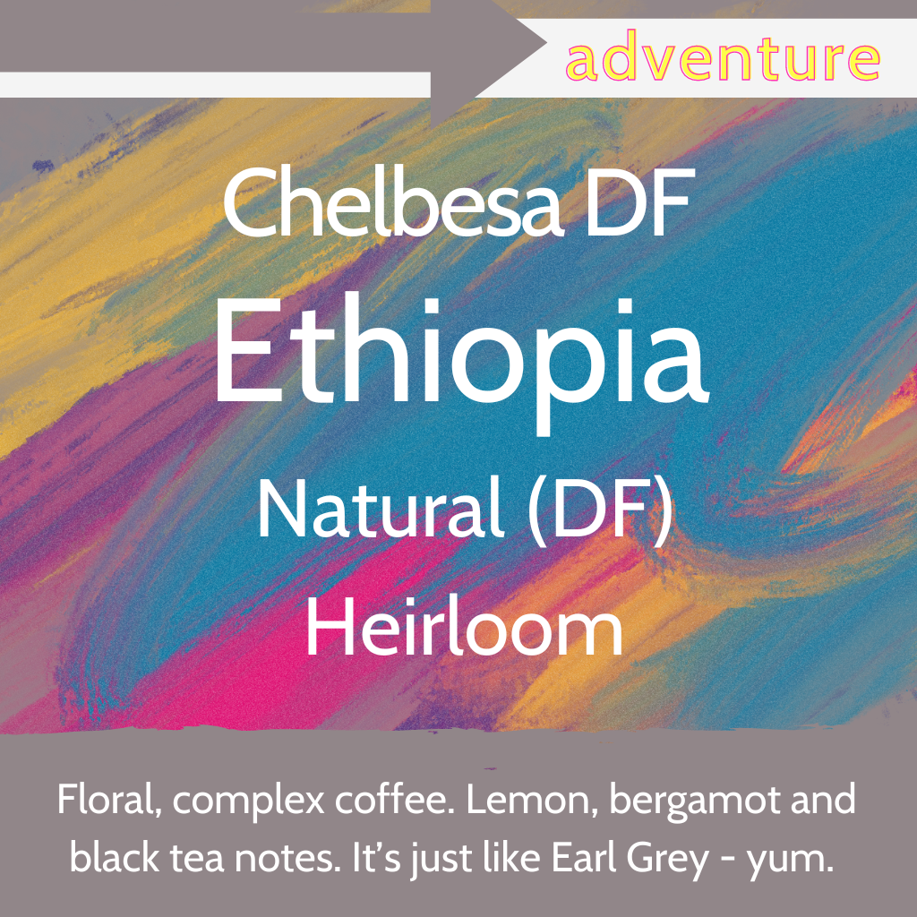 Chelbesa (DF) - Ethiopia