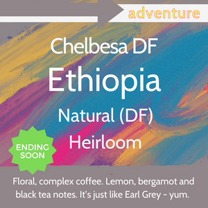 Chelbesa (DF) - Ethiopia