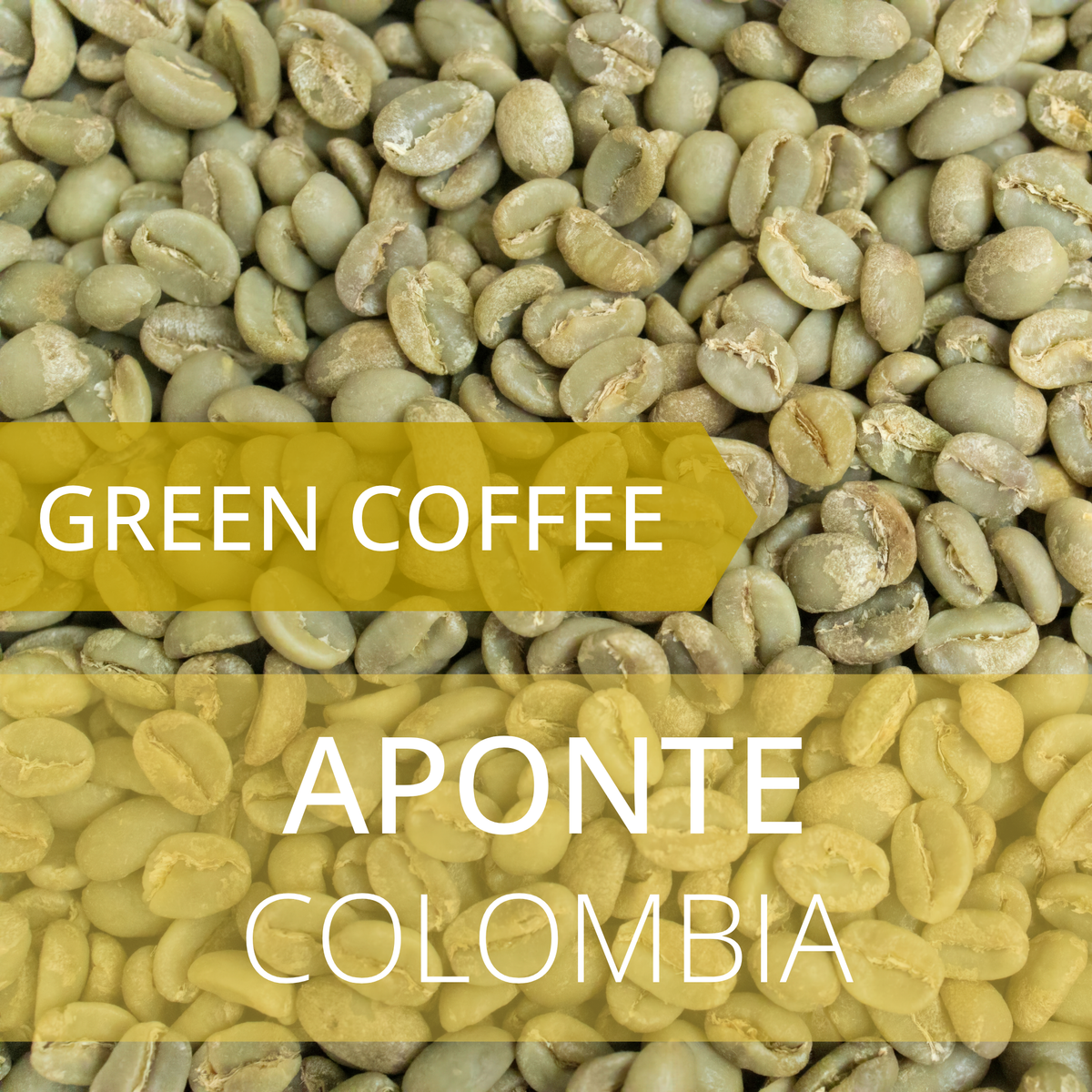 Aponte - Colombia