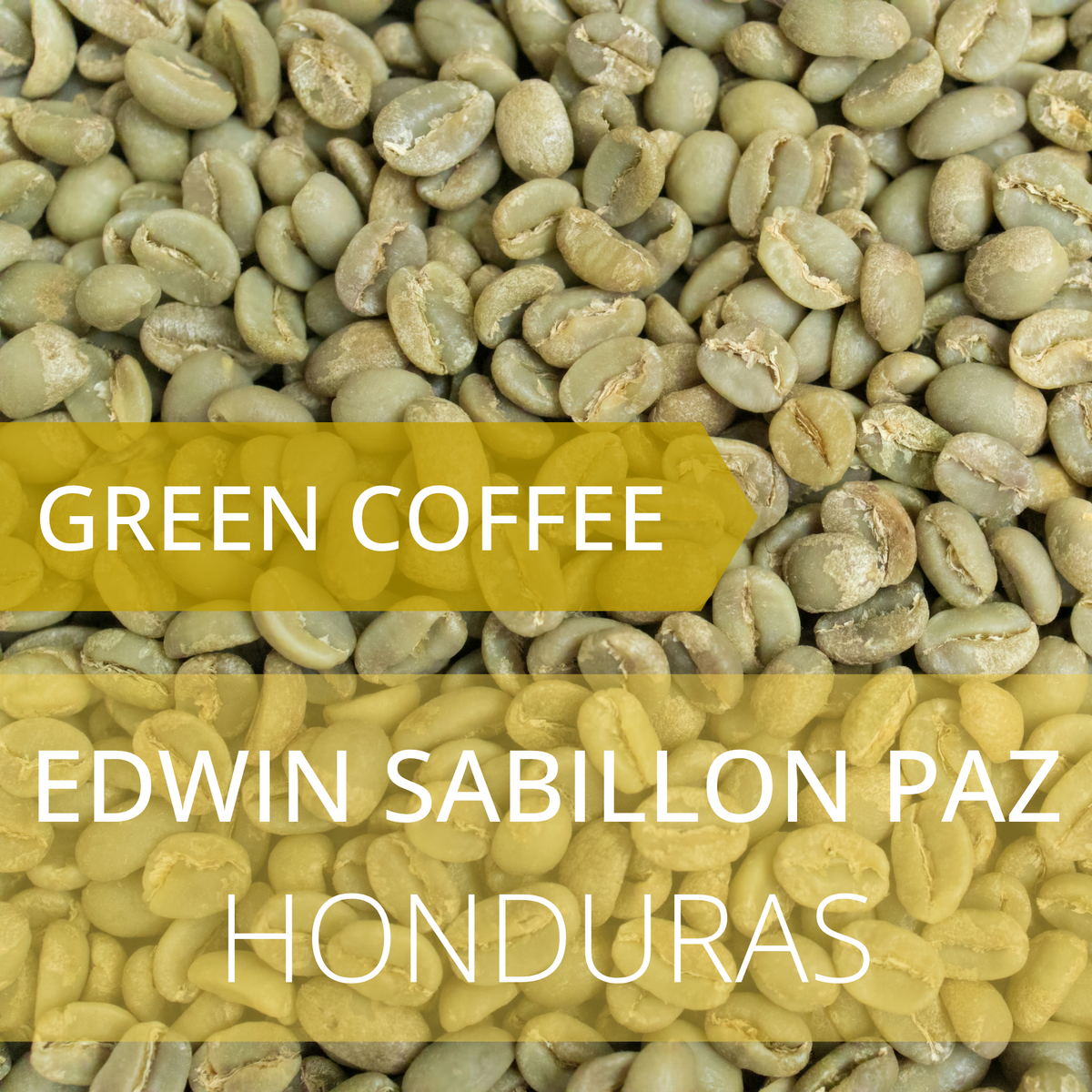 Edwin Sabillon Paz - Honduras