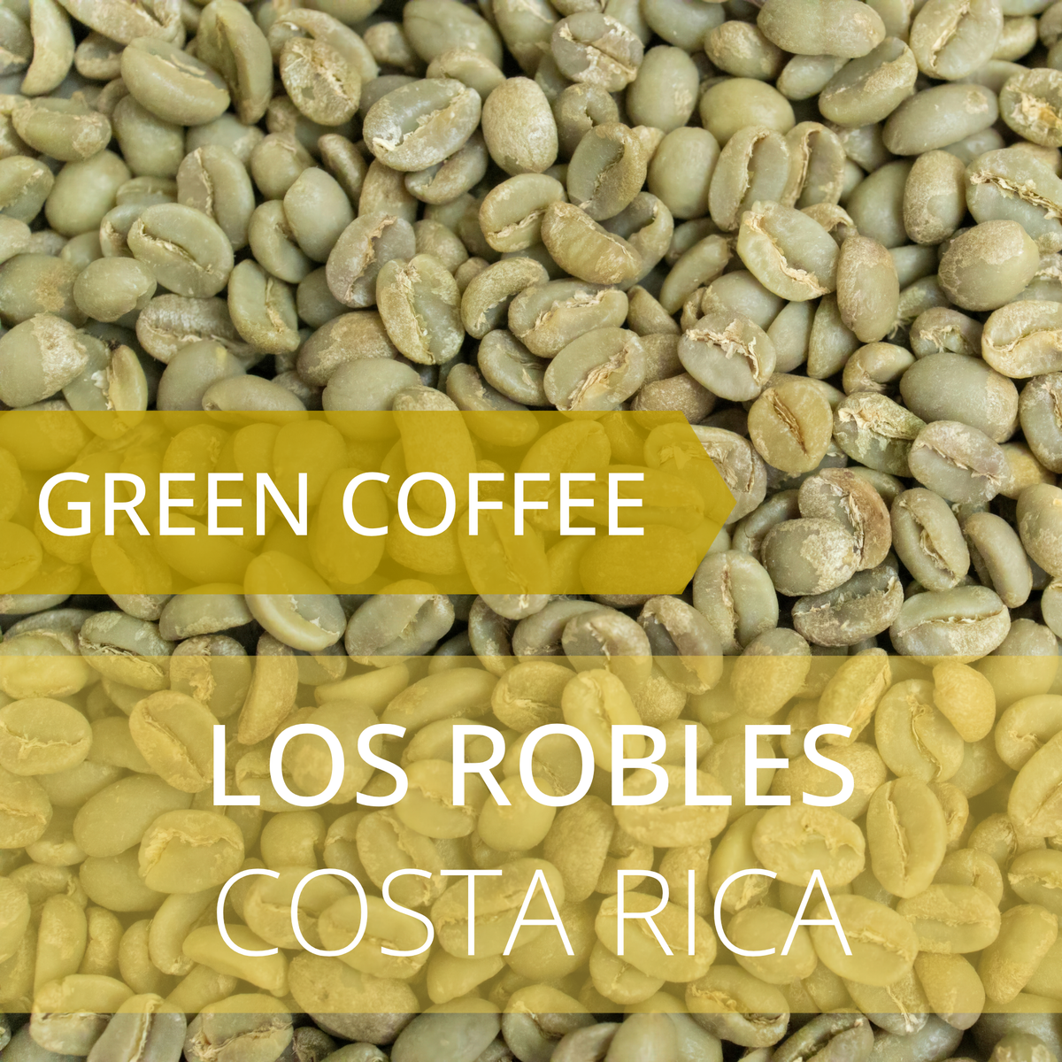 Los Robles - Costa Rica