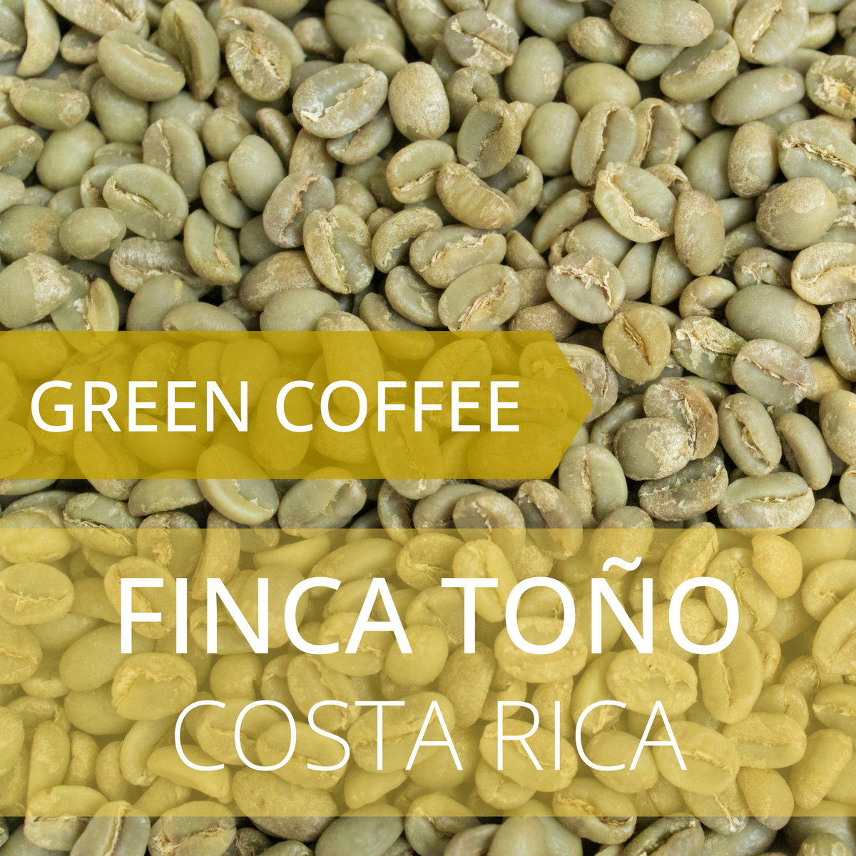 Finca Toño - Costa Rica