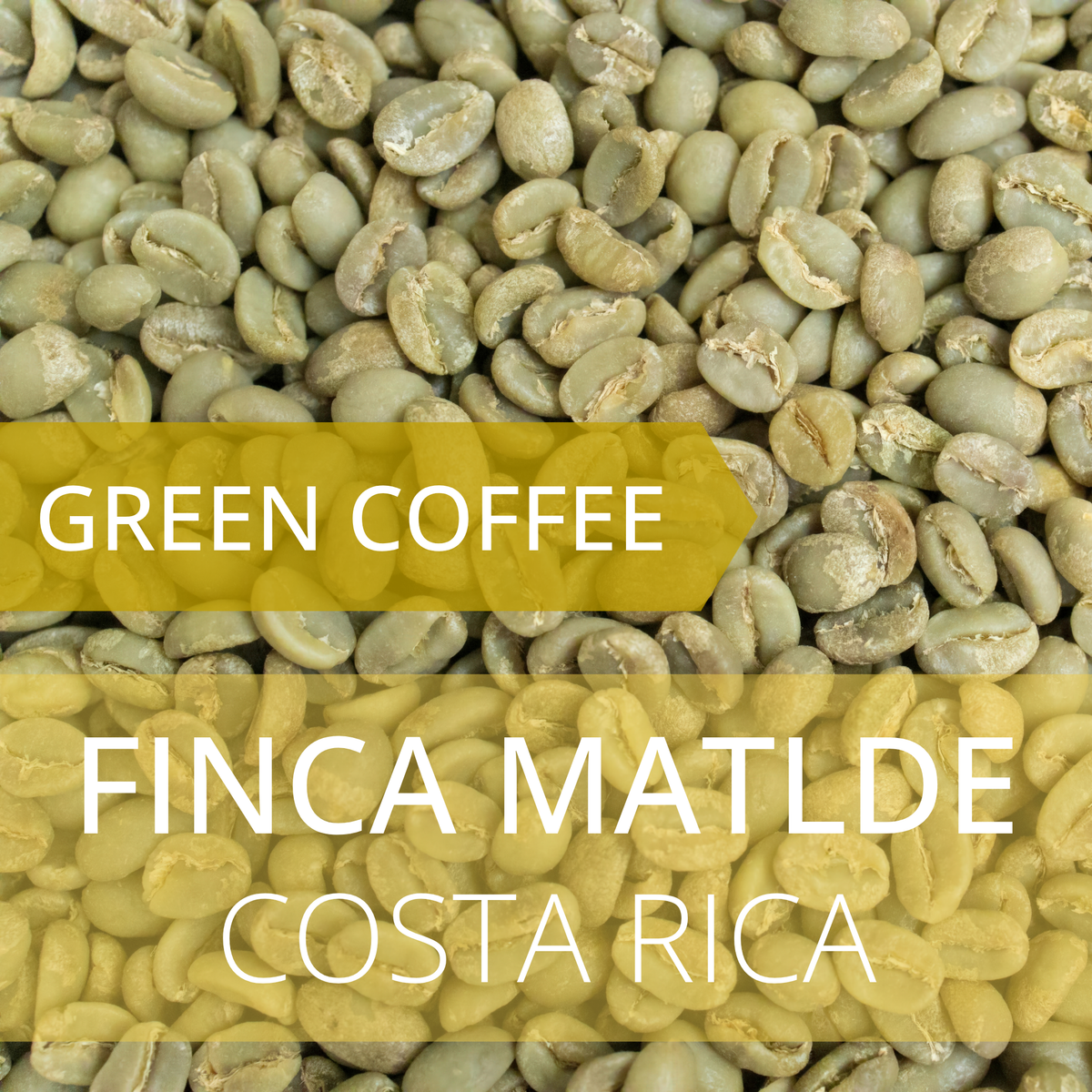 Finca Matilde - Costa Rica