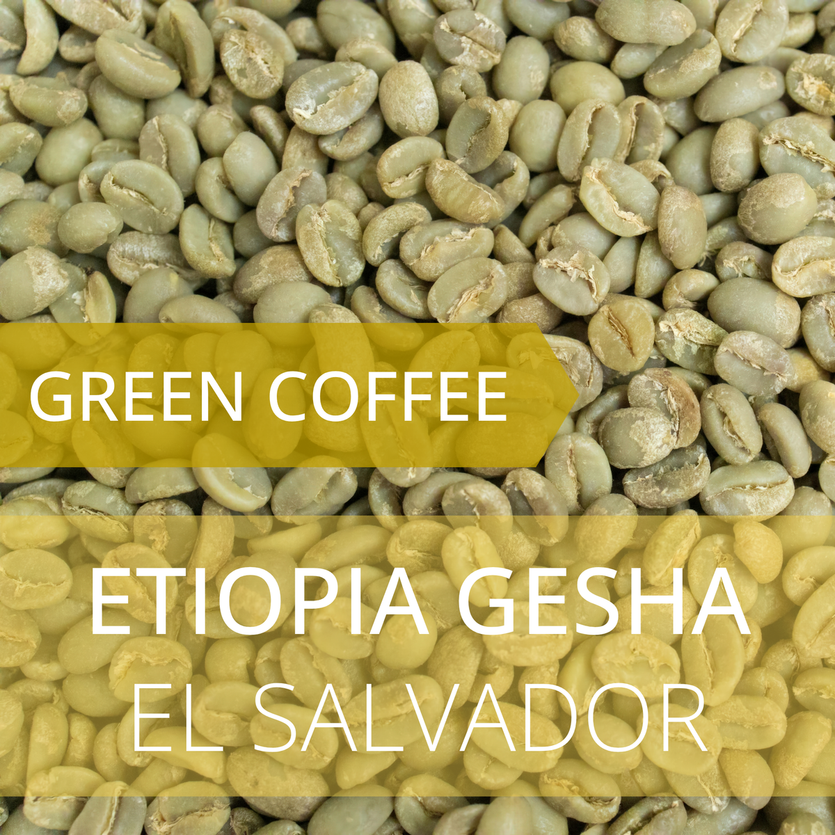 Etiopia Gesha - El Salvador