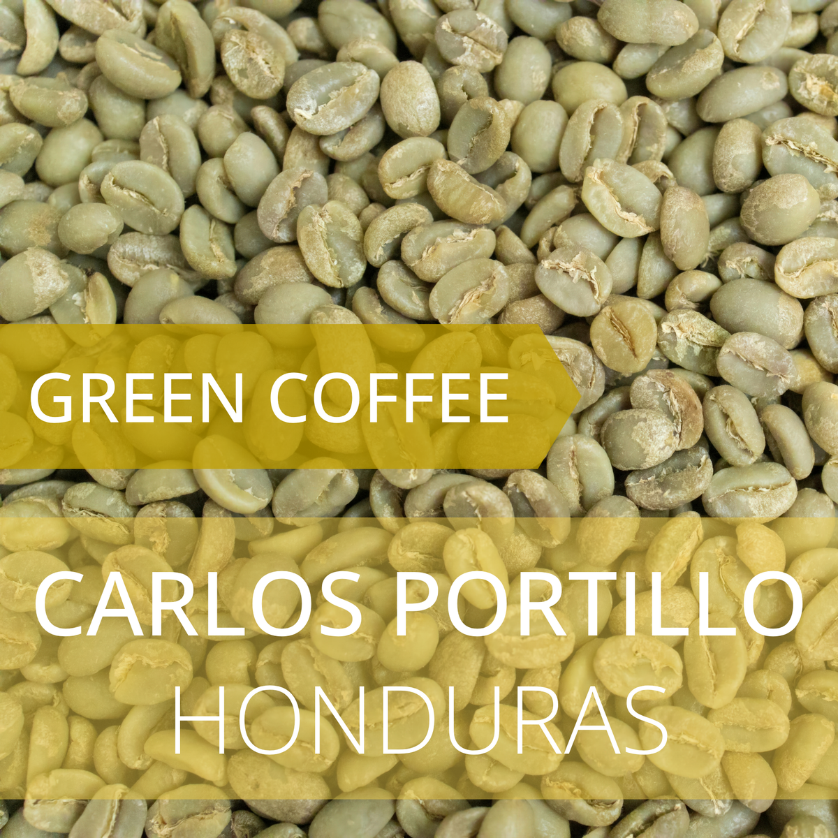 Carlos Portillo - Honduras