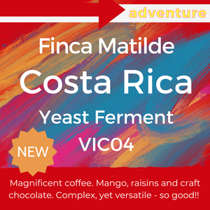 Finca Matilde 2025 - Costa Rica