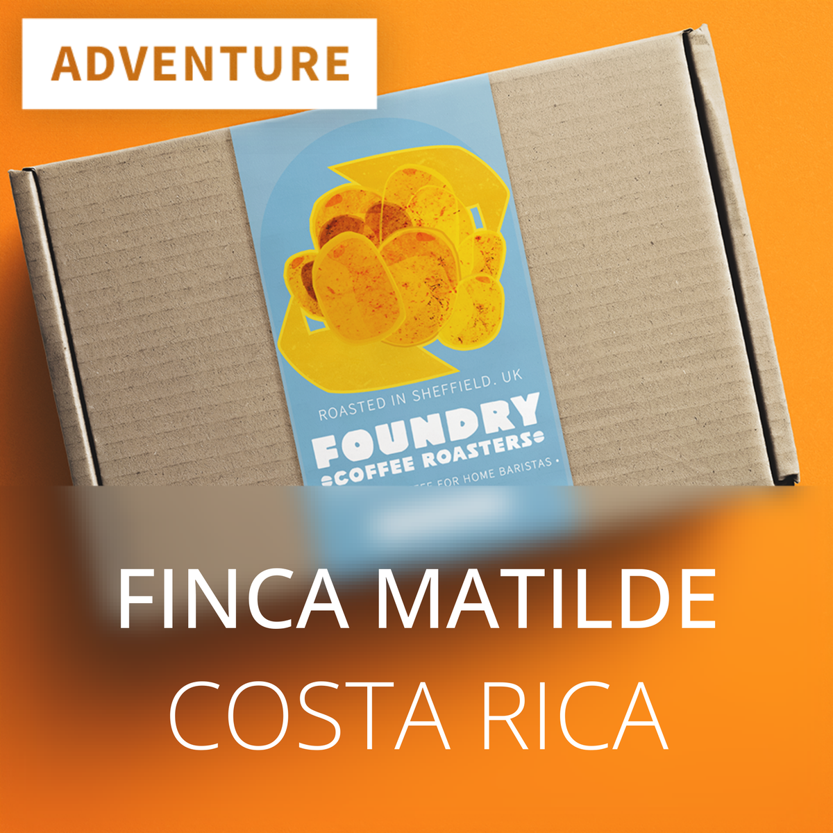 Finca Matilde 2025 - Costa Rica