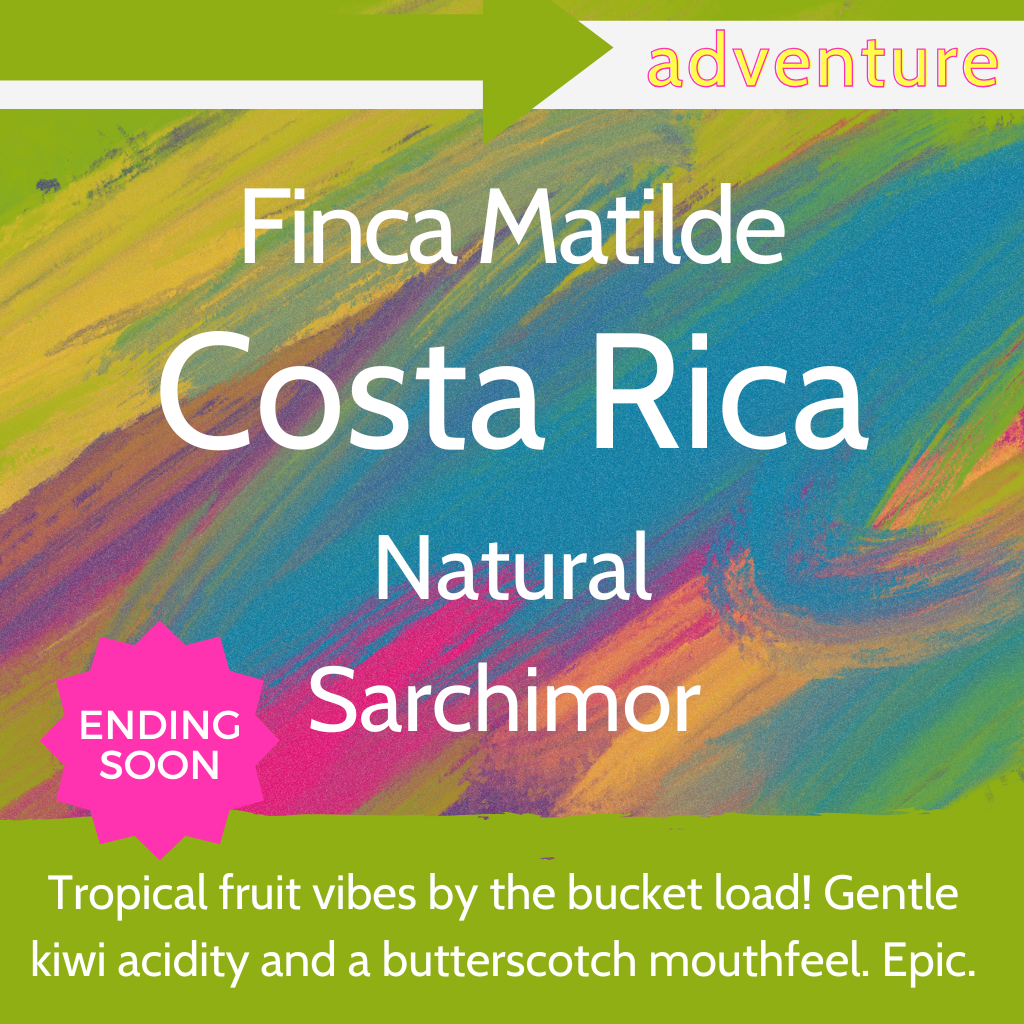 Finca Matilde - Costa Rica