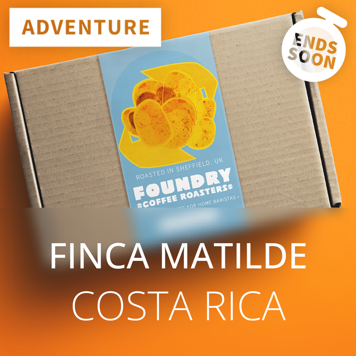 Finca Matilde 2025 - Costa Rica