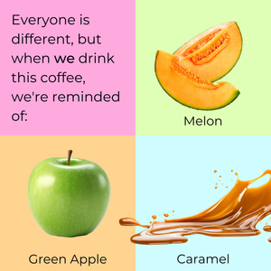 Aricha Adorsi - Ethiopia