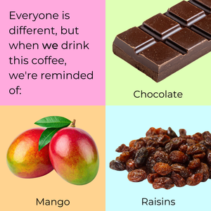 Finca Matilde 2025 - Costa Rica