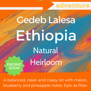 Gedeb Lalesa - Ethiopia