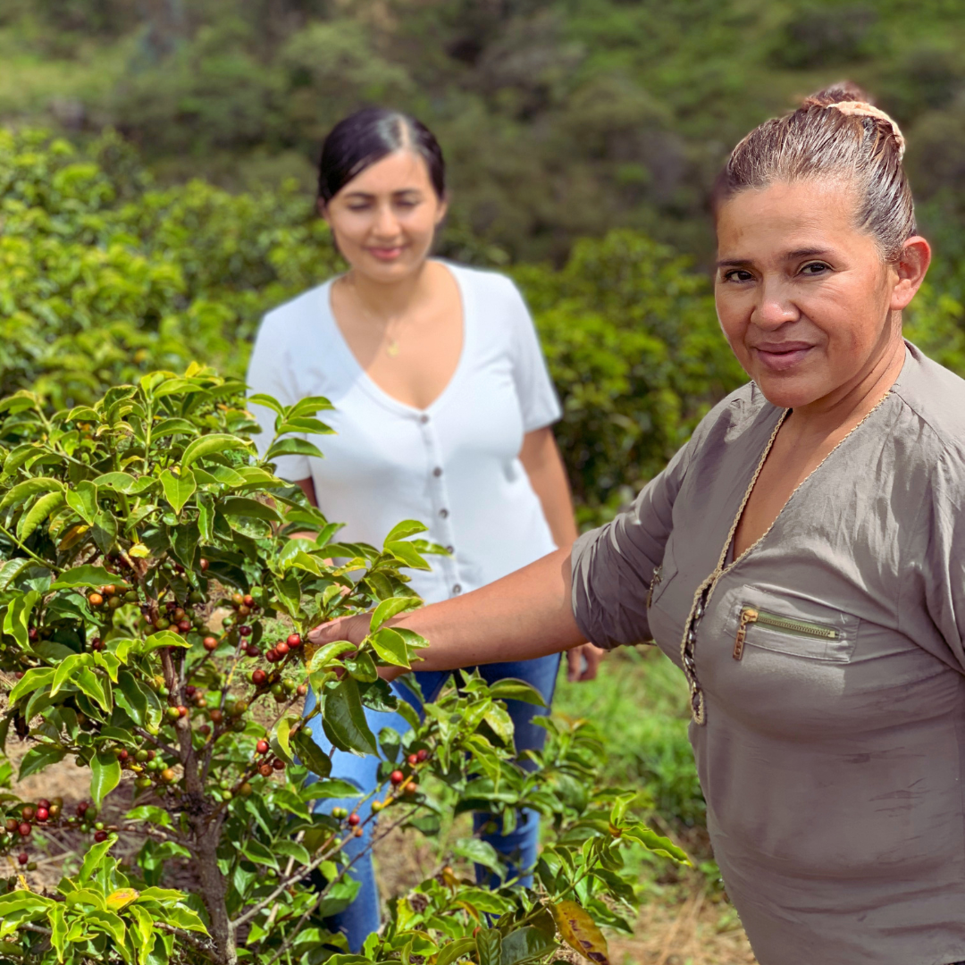 Aponte 2026 - Colombia