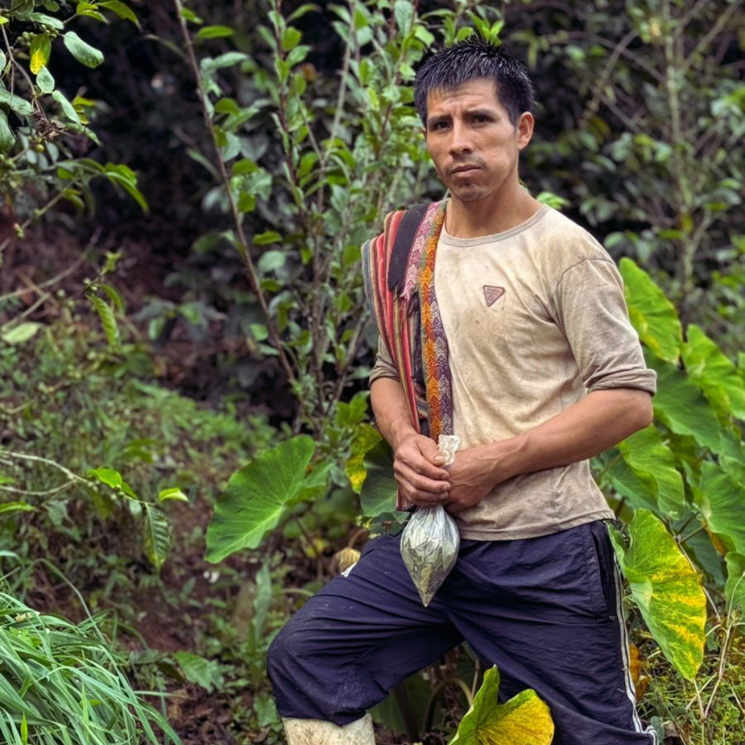 A man wearing a beige t-shirt and dark pants stands in a lush green outdoor garden, holding a small bag in his hands.