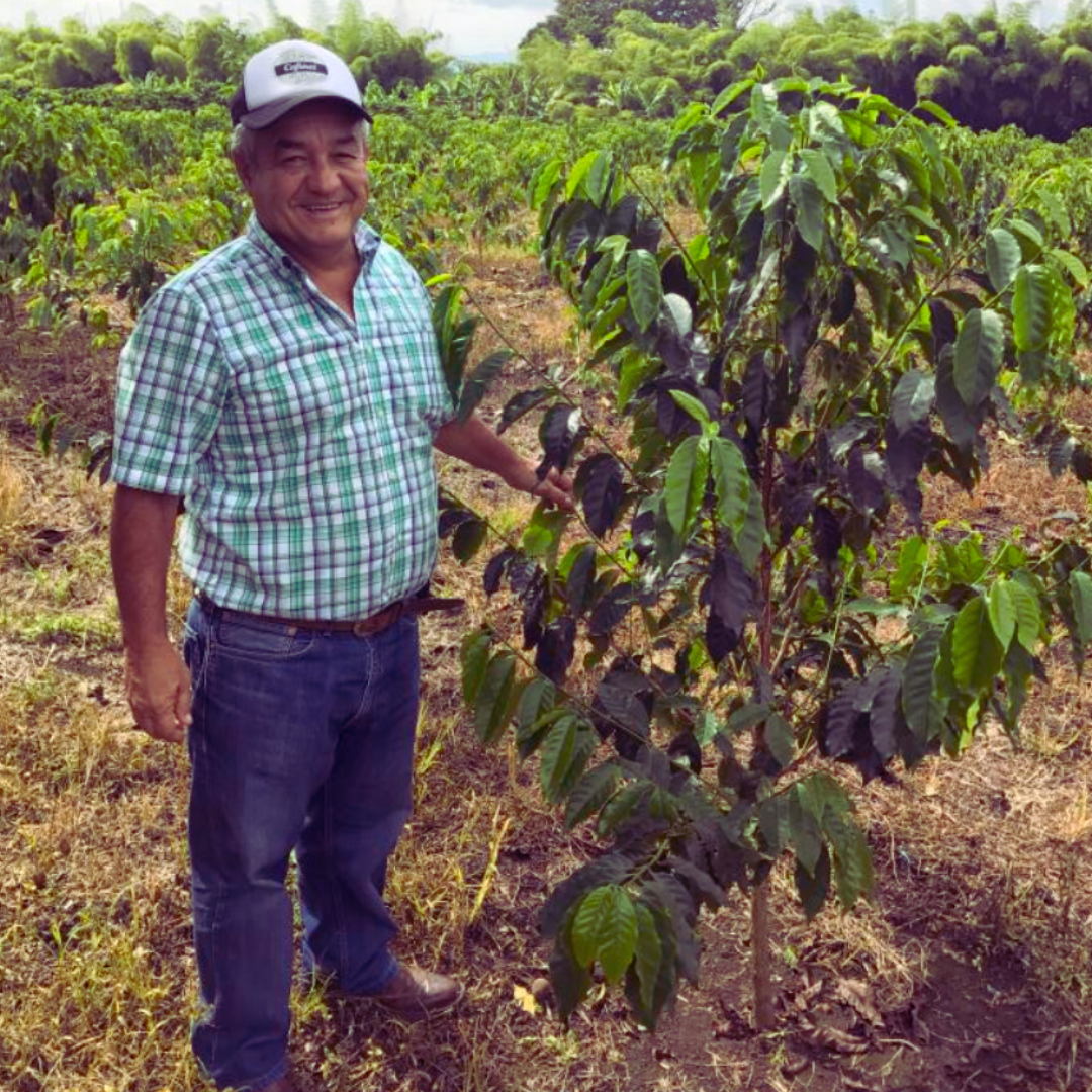 Jairo Arcila (Papayo) - Colombia