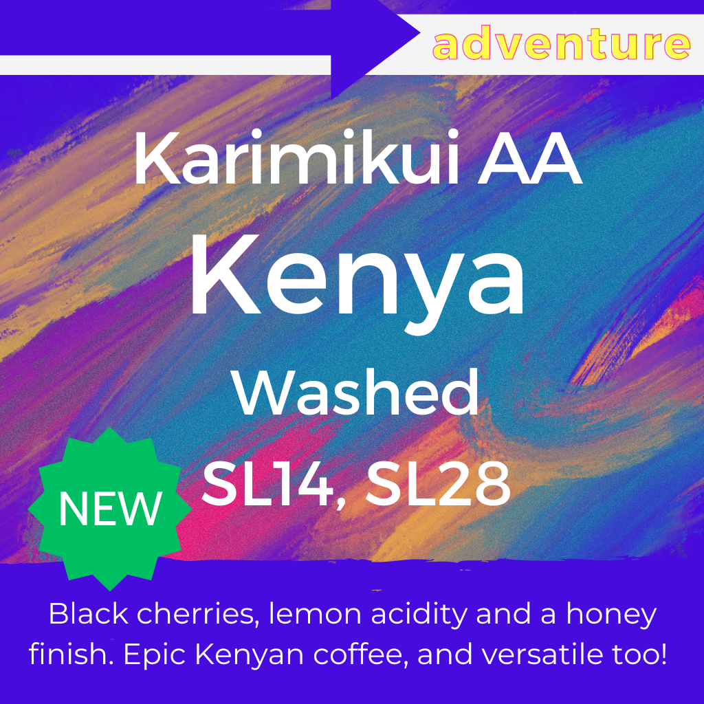 Karimikui AA - Kenya