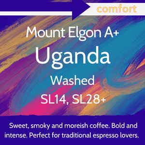 Mount Elgon A+