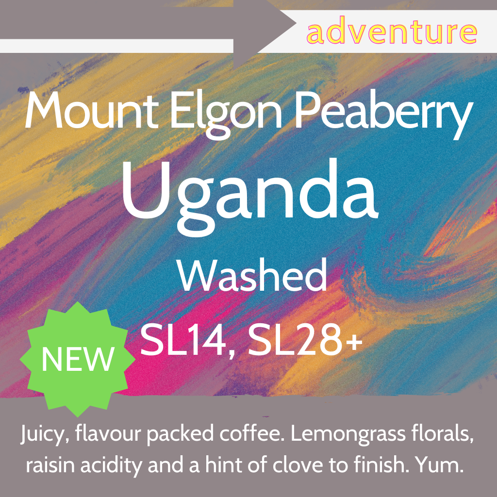 Mount Elgon Peaberry