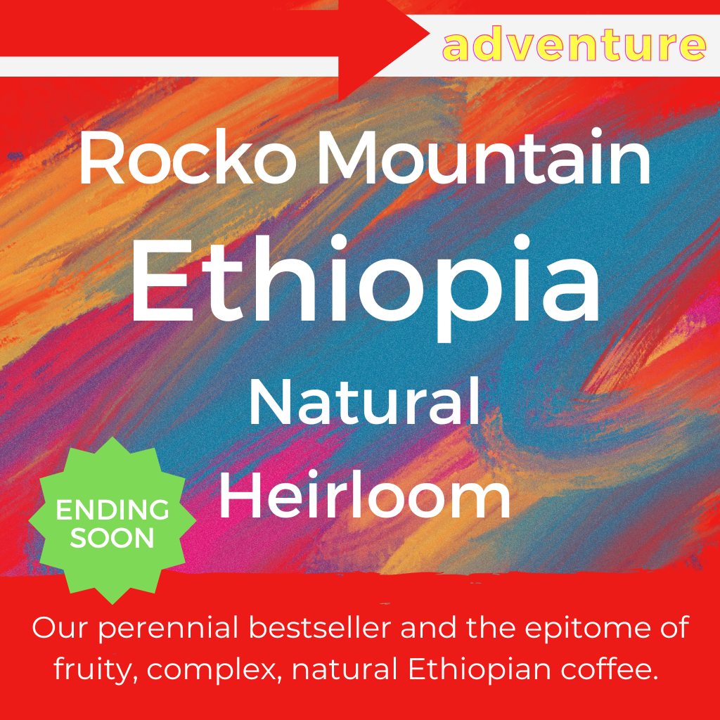 Rocko Mountain 2025 - Ethiopia