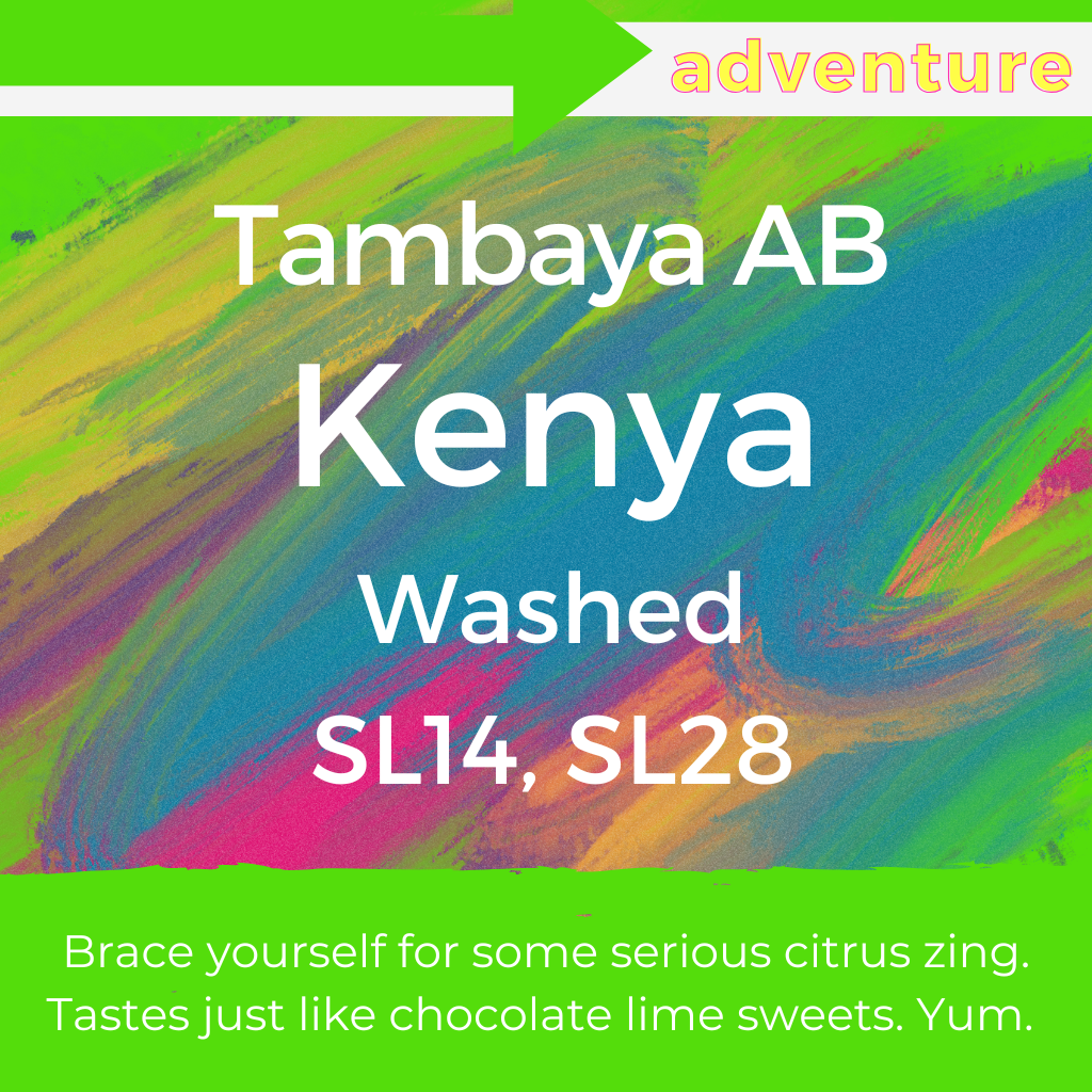 Tambaya AB - Kenya