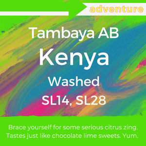 Tambaya AB - Kenya