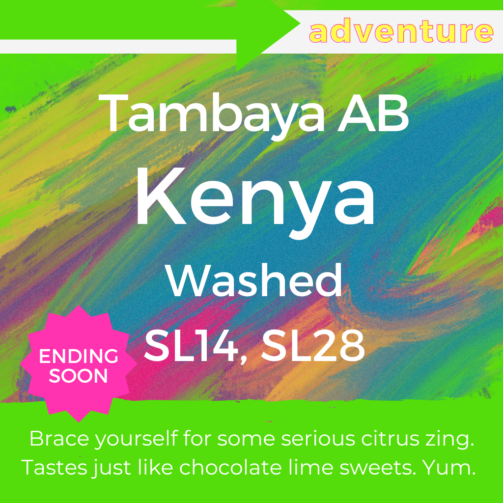 Tambaya AB - Kenya