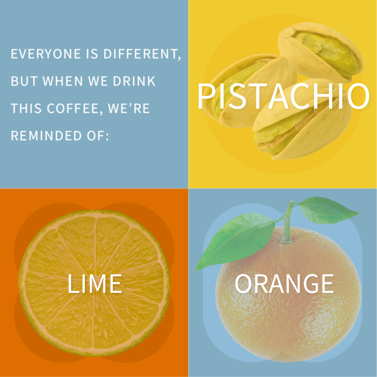 A four-panel graphic with coffee-themed text reading, 'EVERYONE IS DIFFERENT, BUT WHEN WE DRINK THIS COFFEE, WE'RE REMINDED OF:' above illustrations labeled PISTACHIO, LIME, and ORANGE on colored backgrounds.