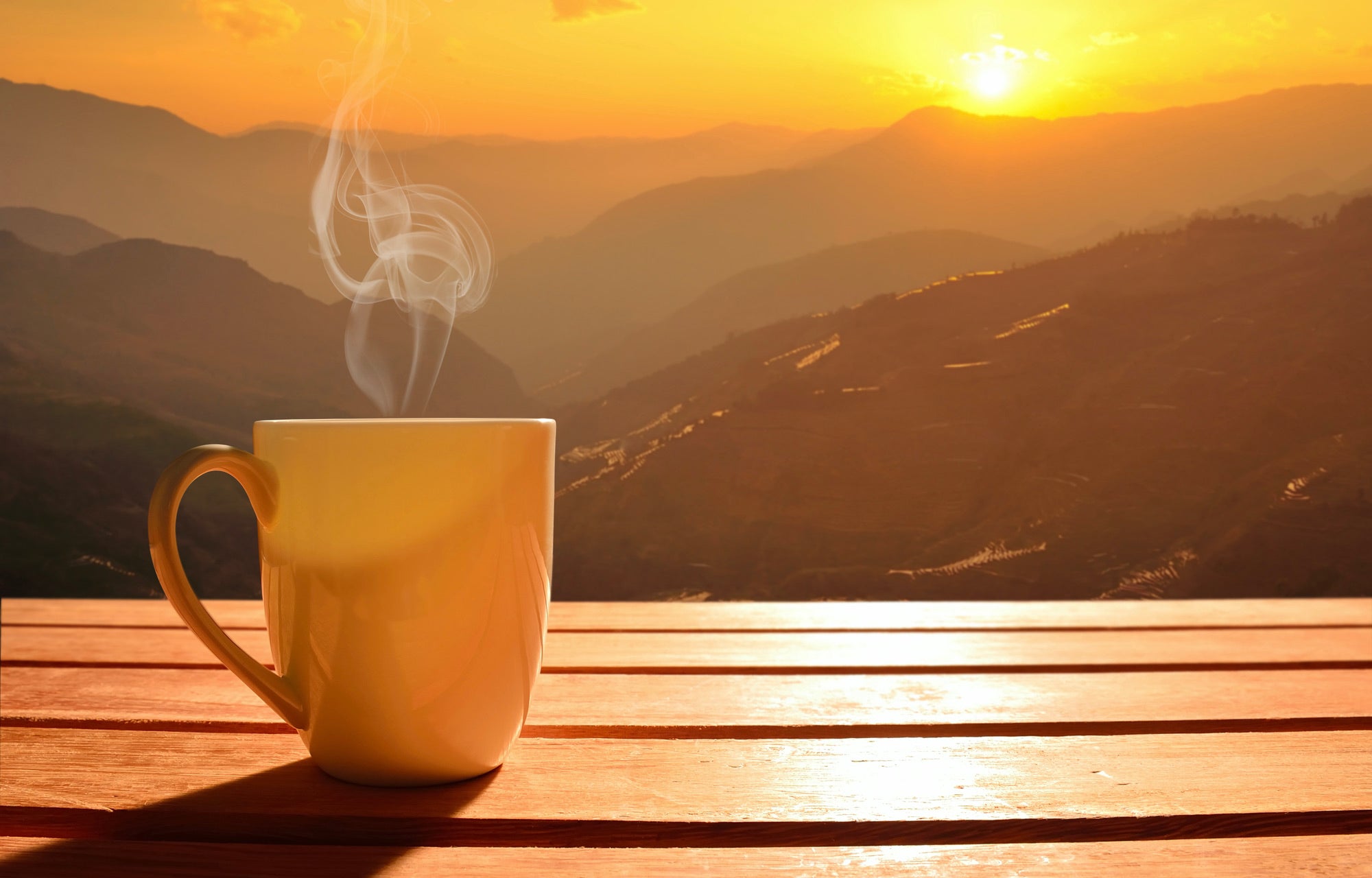 coffee mug in the sunset
